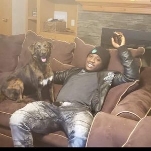 Meet your Posher, Jake